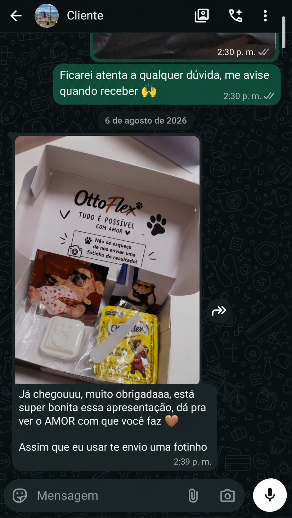 Conversa de WhatsApp da cliente mostrando a caixa OttoFlex recebida, número oculto
